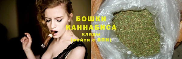 гидра Зеленокумск