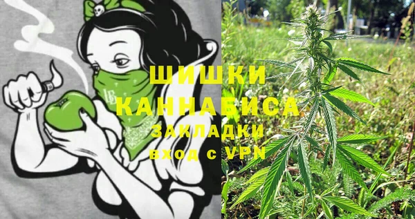 гидра Зеленокумск