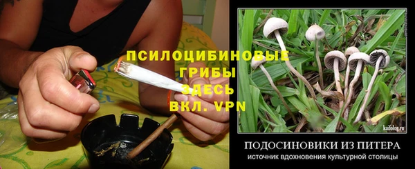 трава Зеленодольск