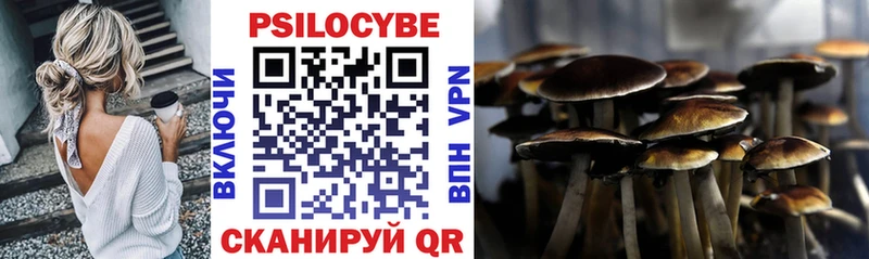 Галлюциногенные грибы Psilocybine cubensis  mega ТОР  Камбарка 