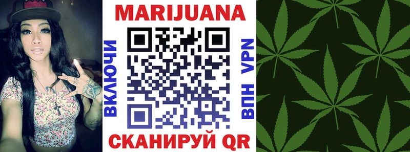 дарнет шоп  Камбарка  Канабис SATIVA & INDICA 